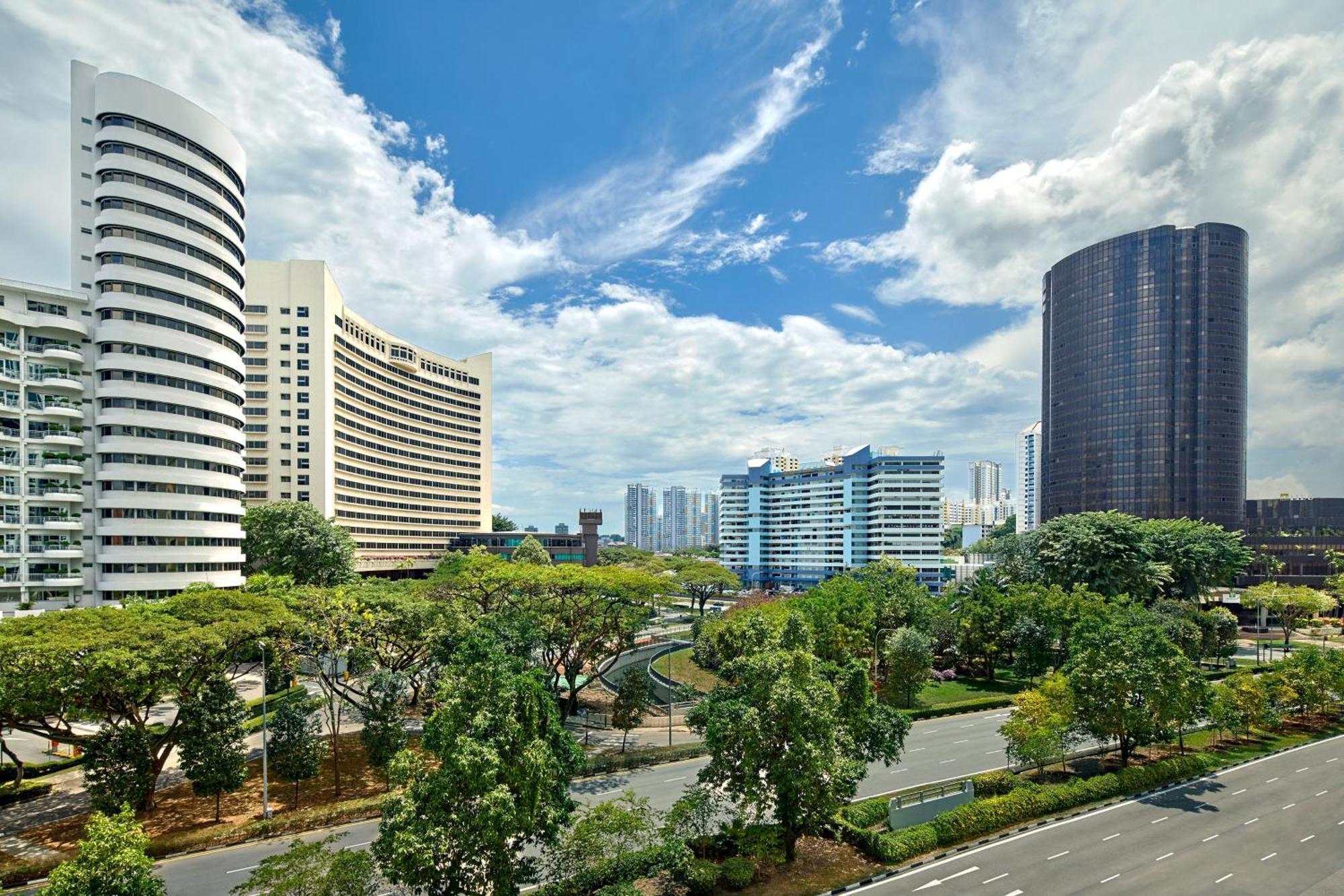 1 Bedroom Suite, 1 King, City view