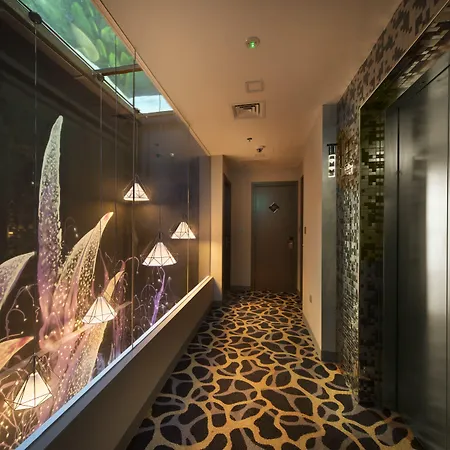 Hotel Clover 7-3